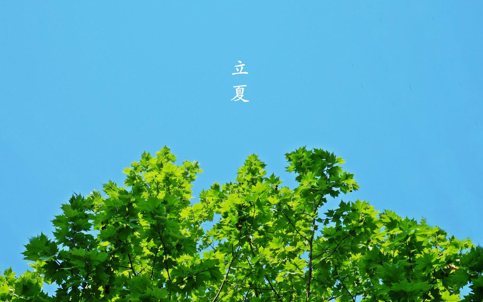 二十四節氣之立夏|萬物始茂,忽而立夏氣脹軸安全夾頭糾偏系統廠家